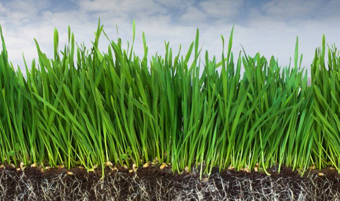 Grassroots Marketing and Social Media: A killer pair!